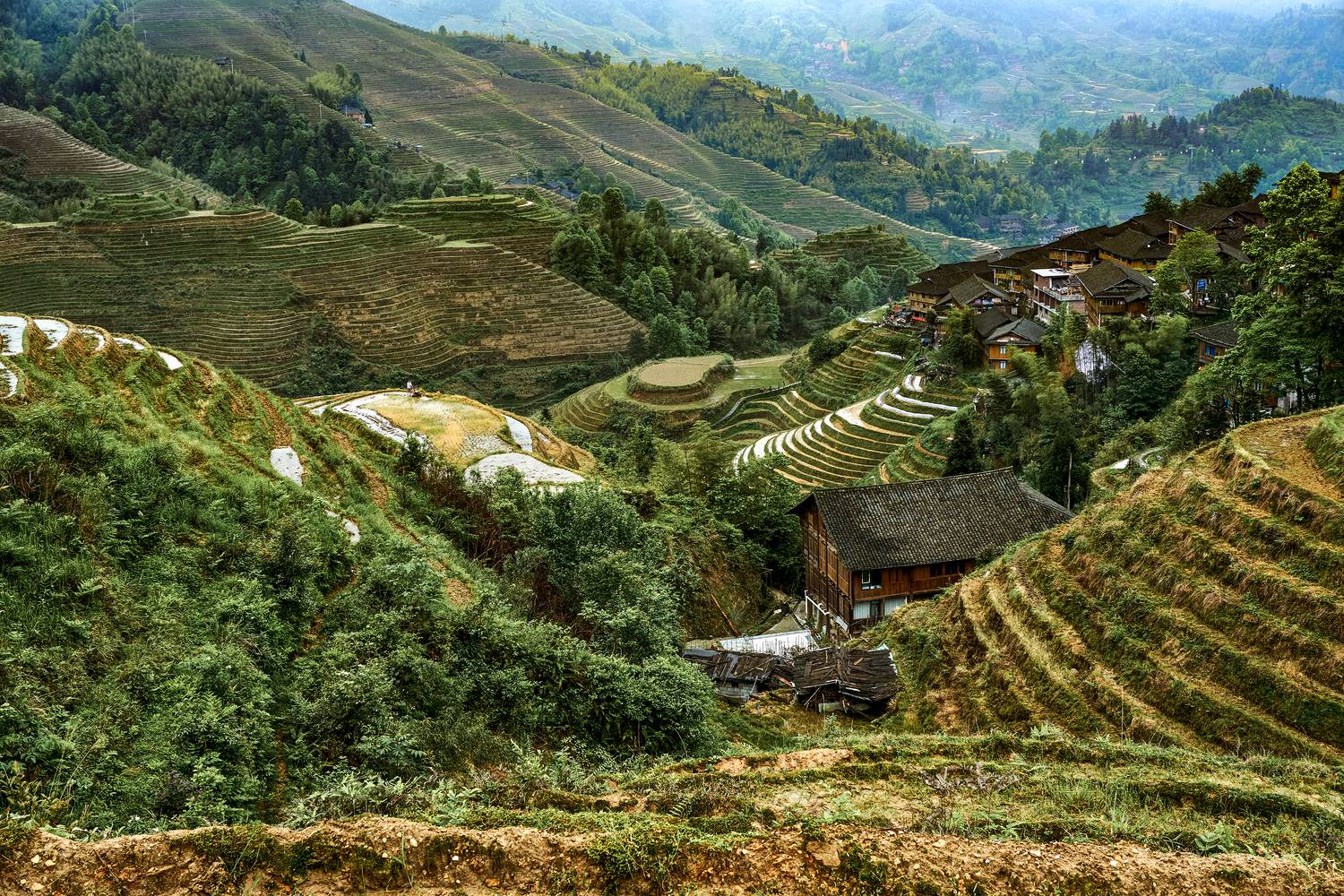 , Низовцев Сергей