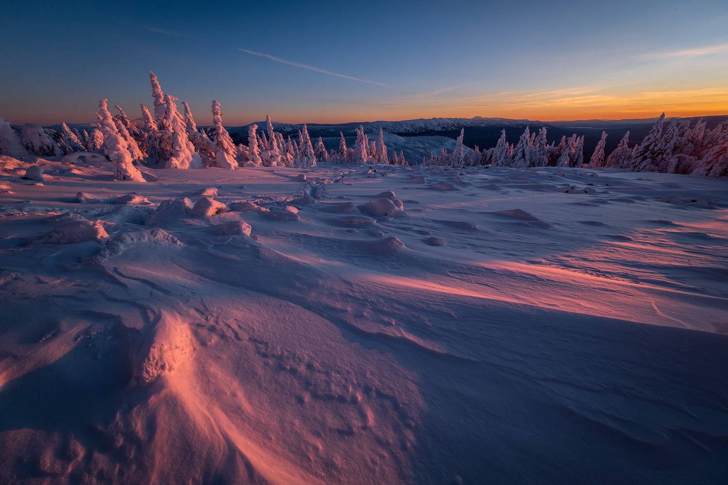 , Бодрягин Виталий