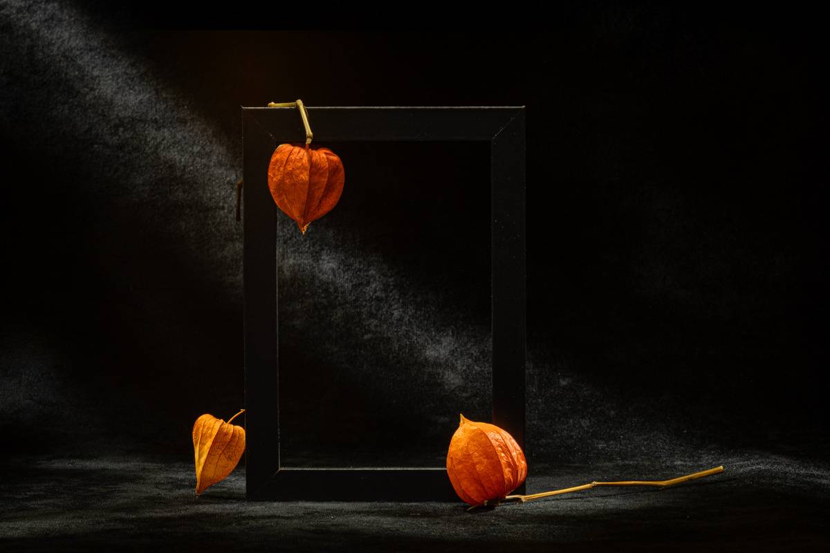 close-up, Игорь Копцев