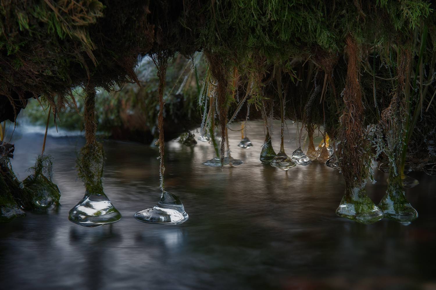 , Рудаков Глеб