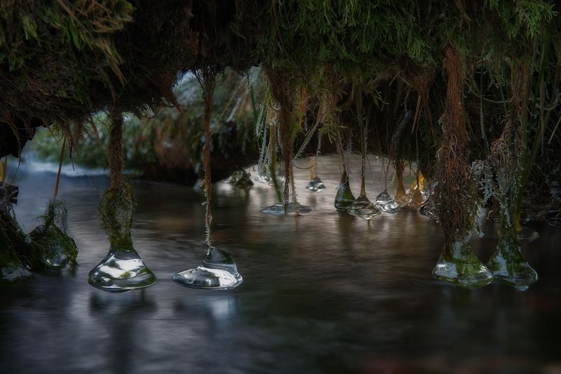 На Кольском полуострове фото превью