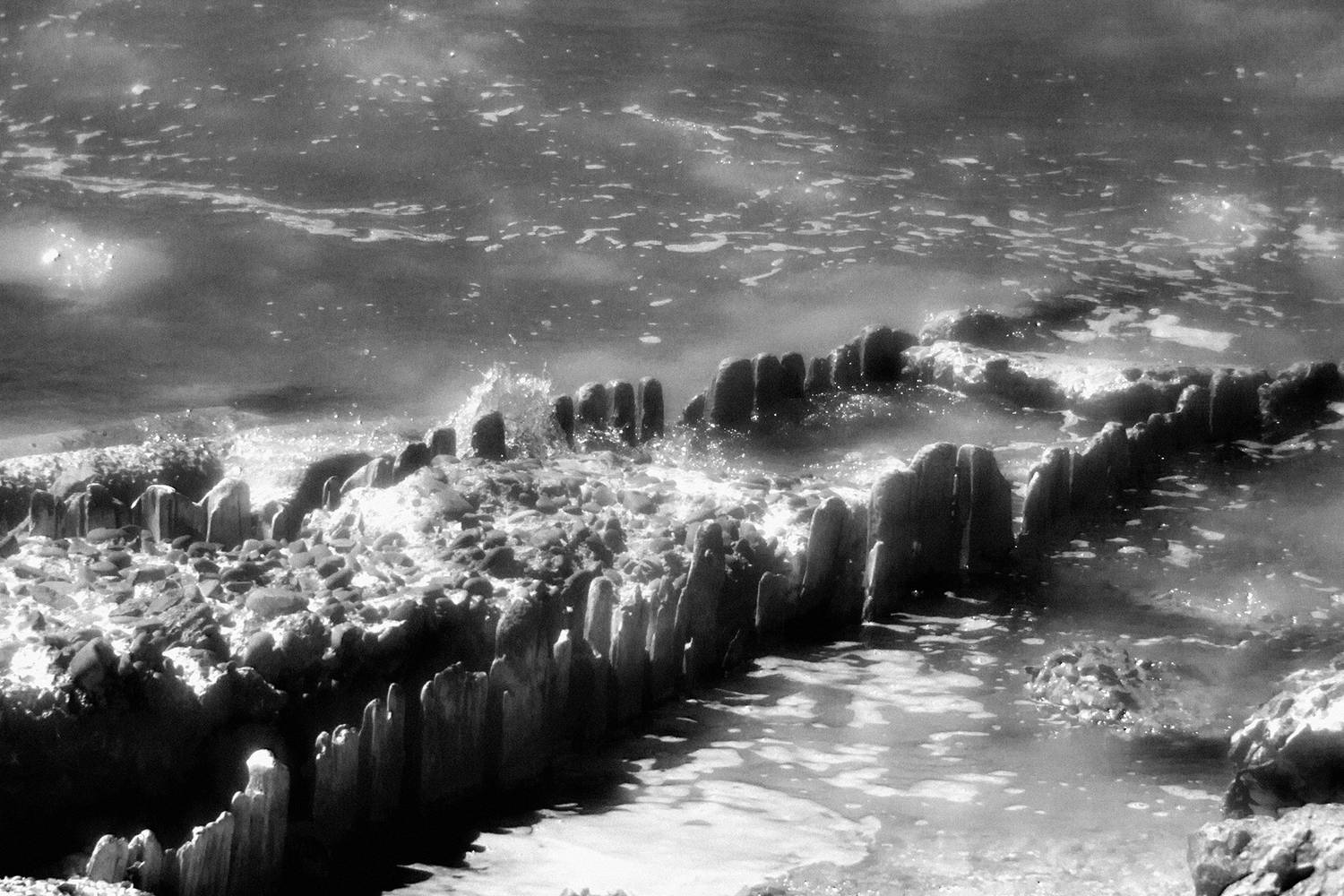 , Андрей Петросян