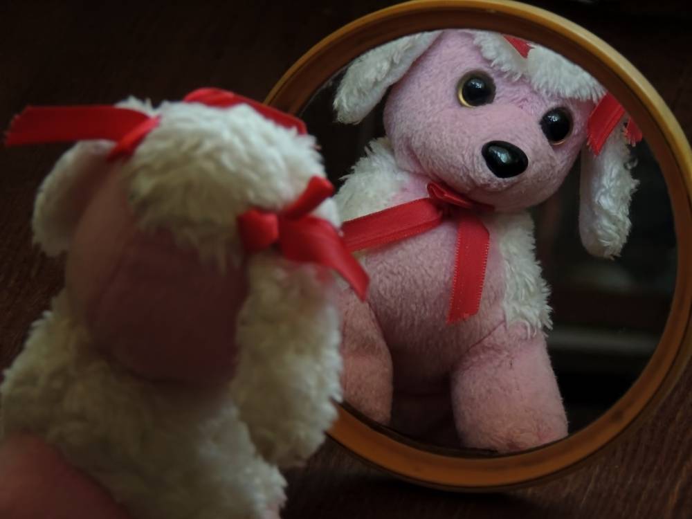 , Савоцкий Роман