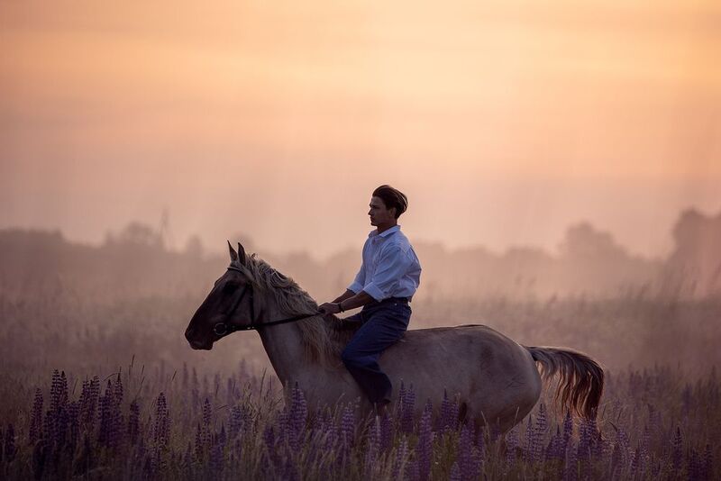 Рассвет фото превью