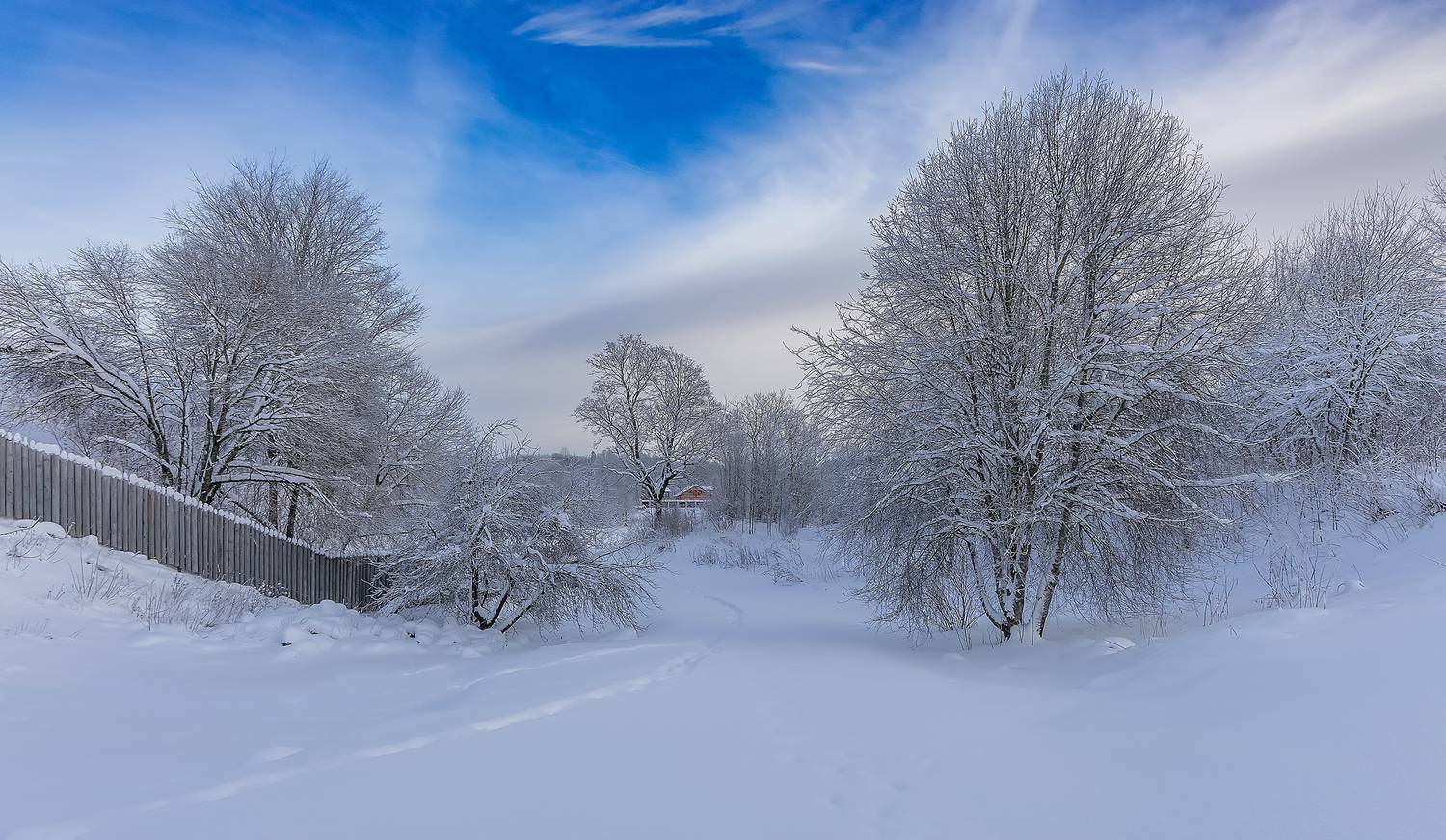 зима, утро, мороз, Широких Александр