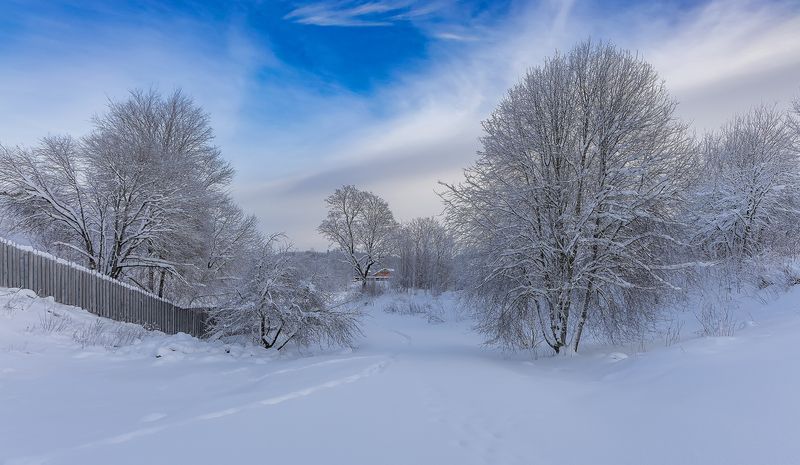 зима, утро, мороз Зимний день фото превью