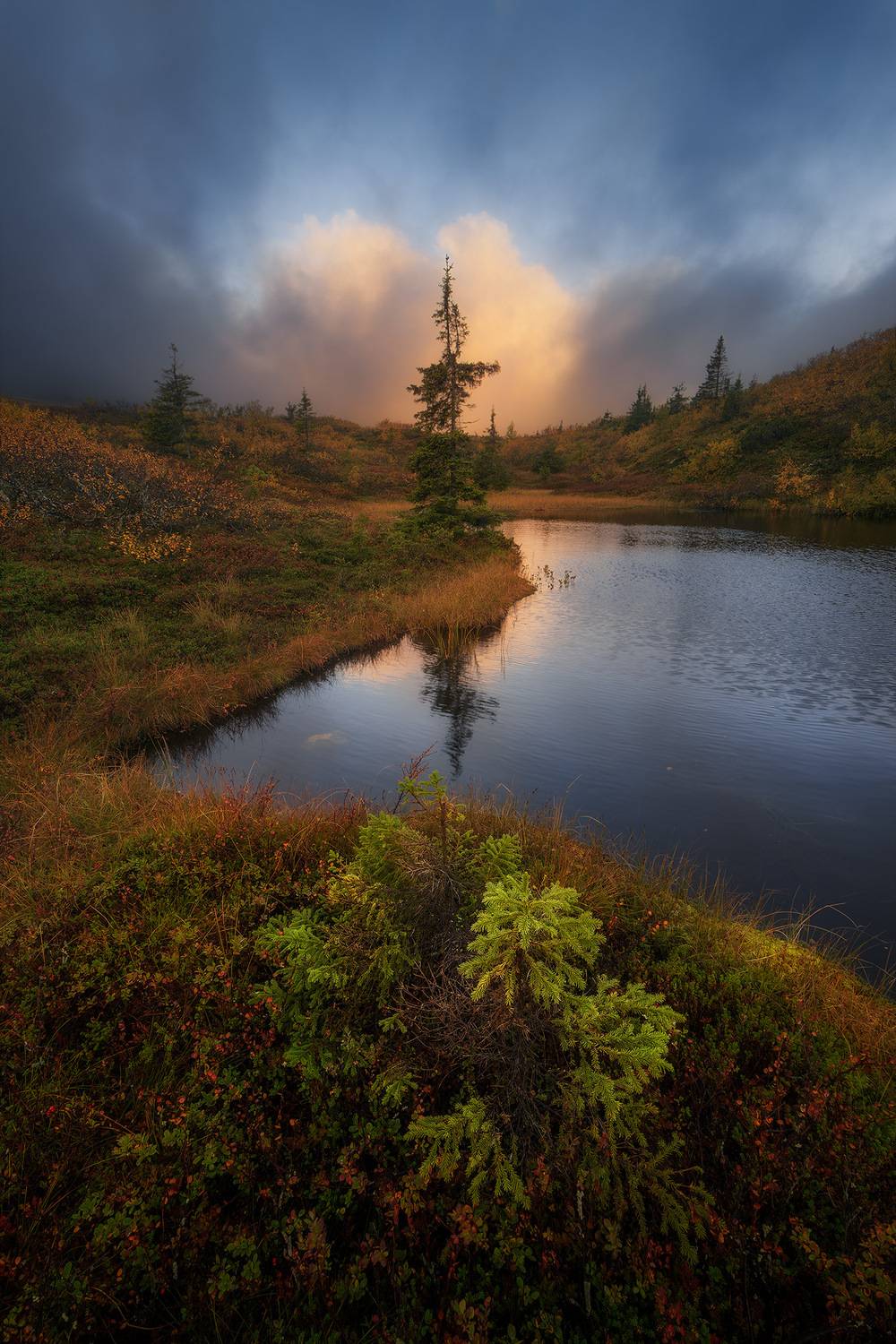 , Павел Жирнов