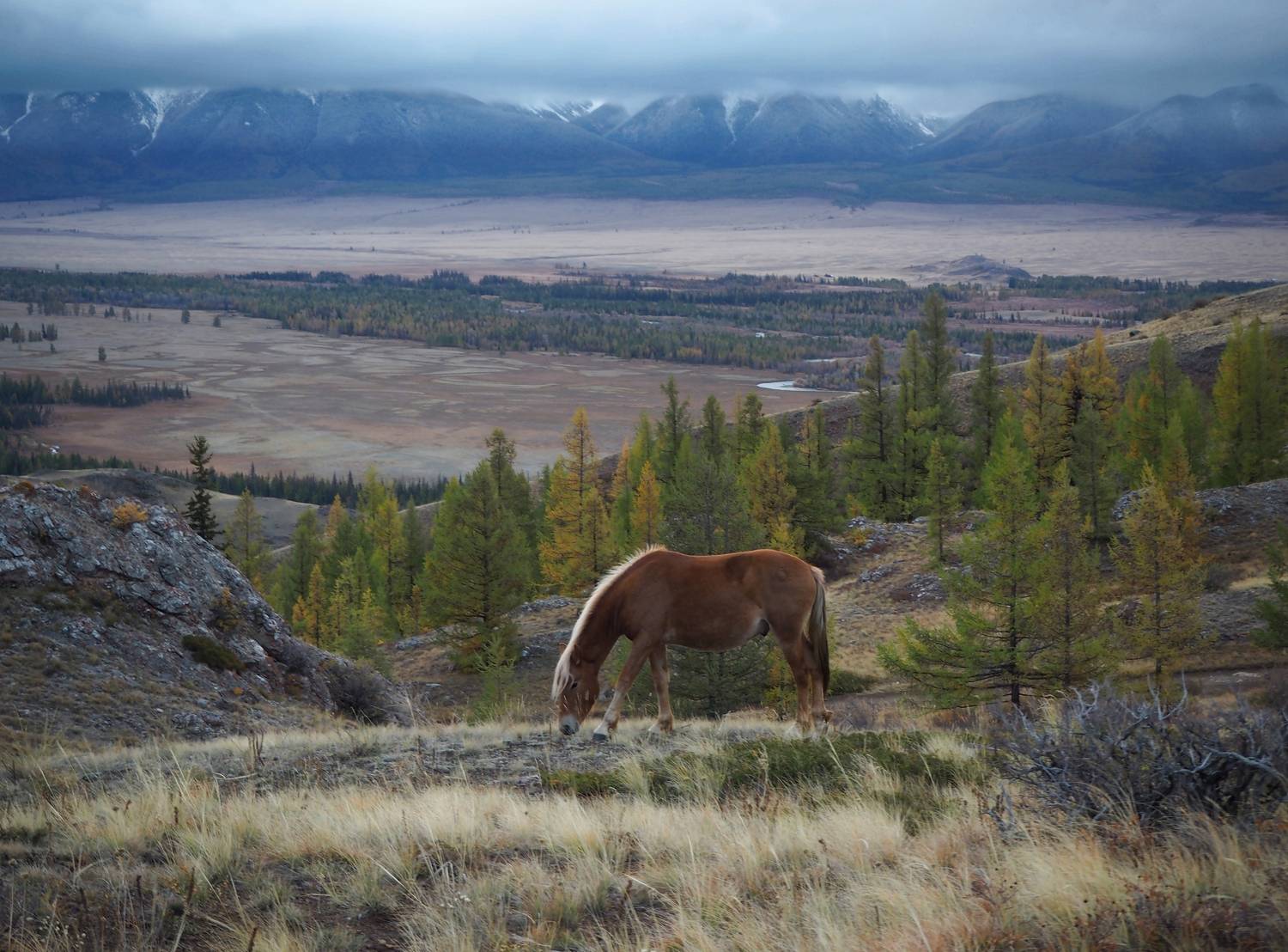 , Яковлев Евгений