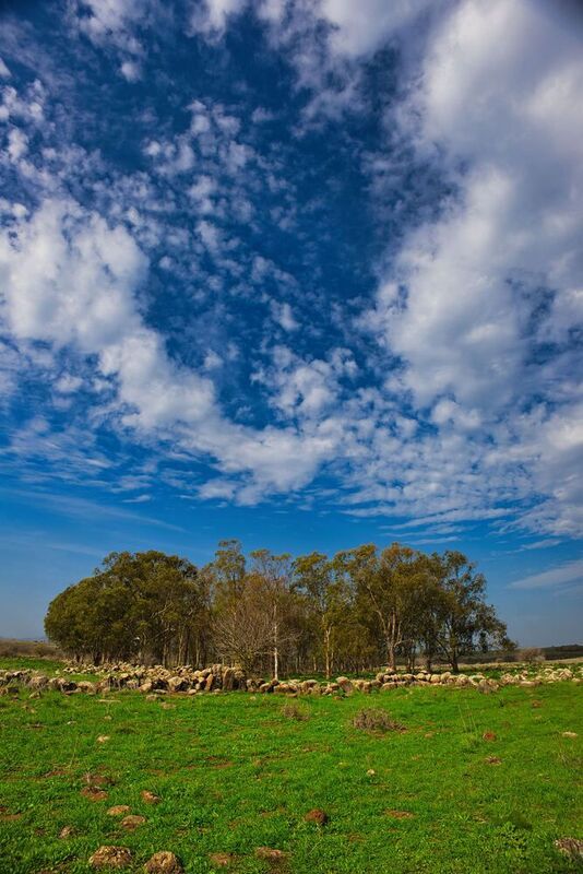 Golan Heights фото превью