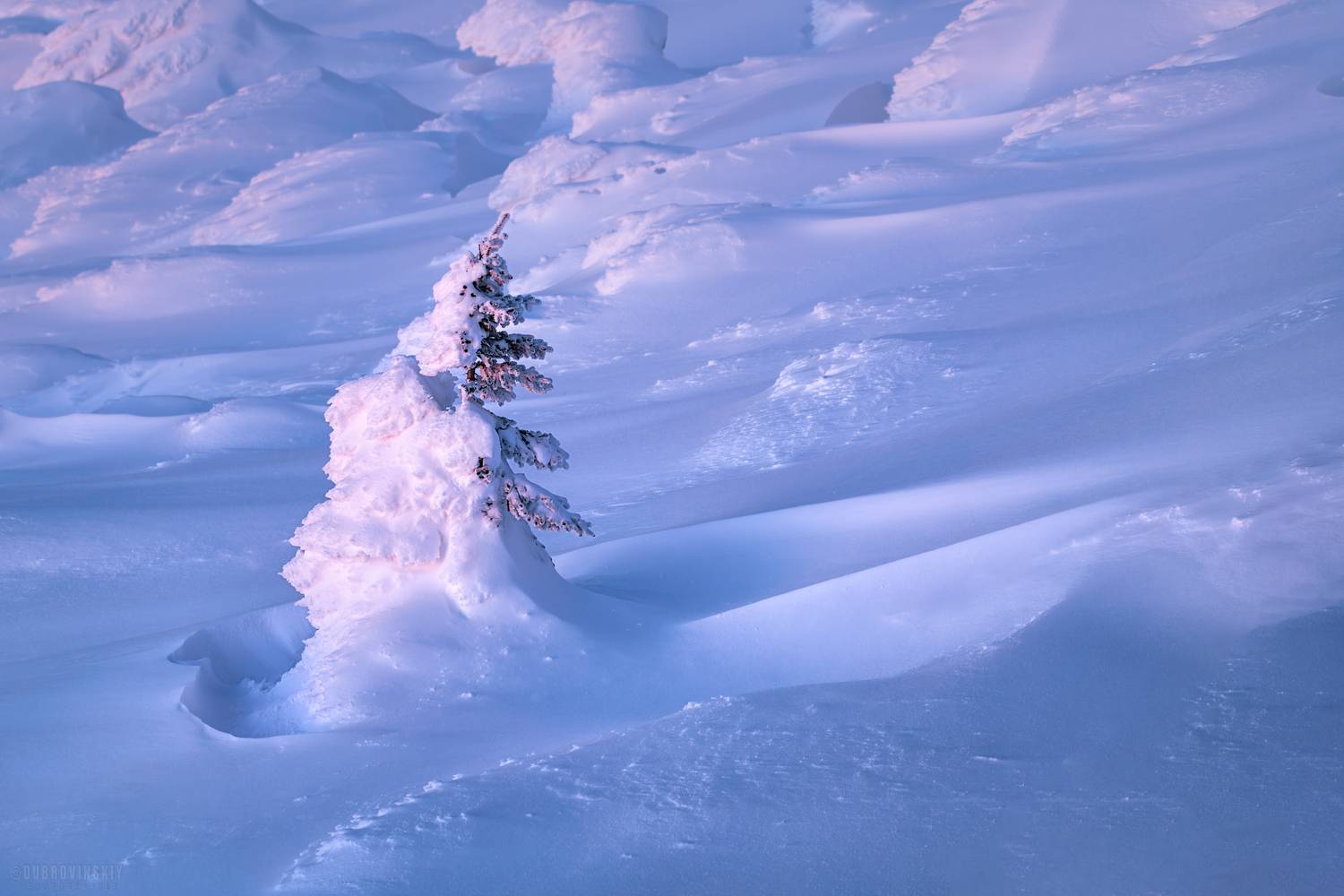 , Дубровинский Михаил