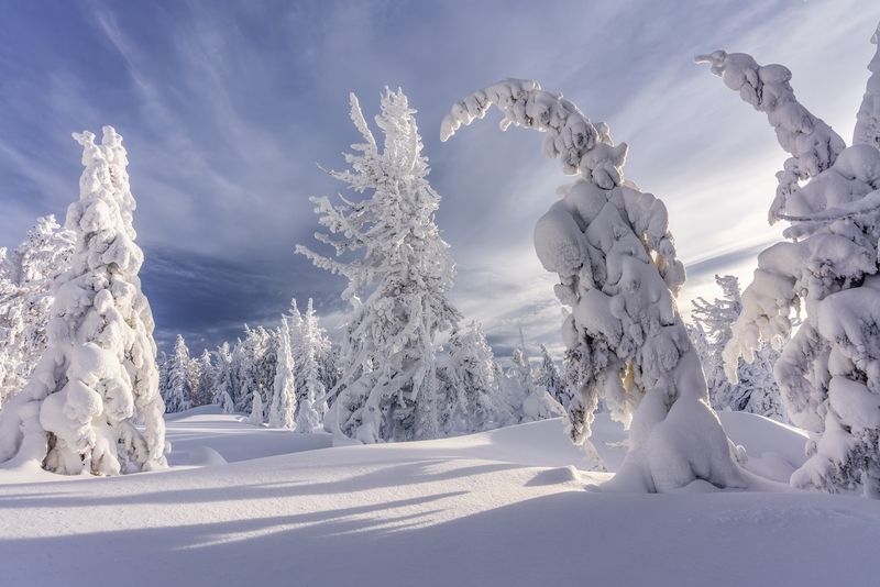 Аргыджек фото превью