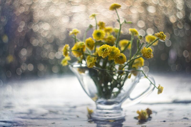 Лютики-цветочки фото превью