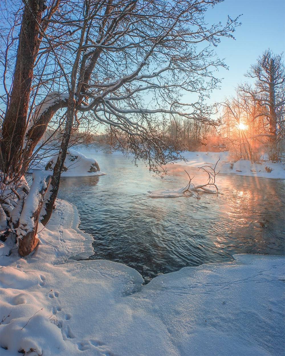 , Петр Косых