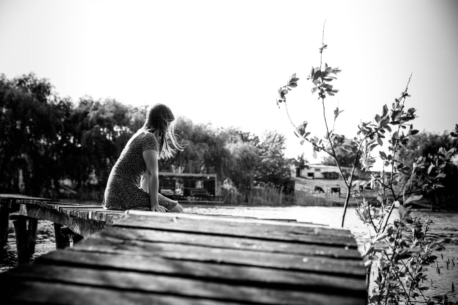 , Никулин Сергей