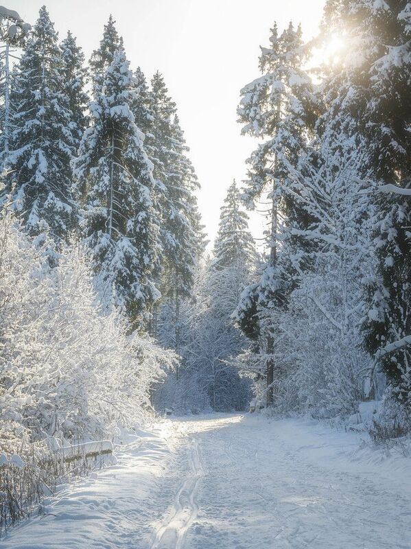 *** фото превью