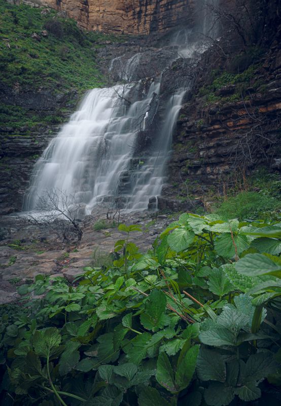 Movement and imagination фото превью