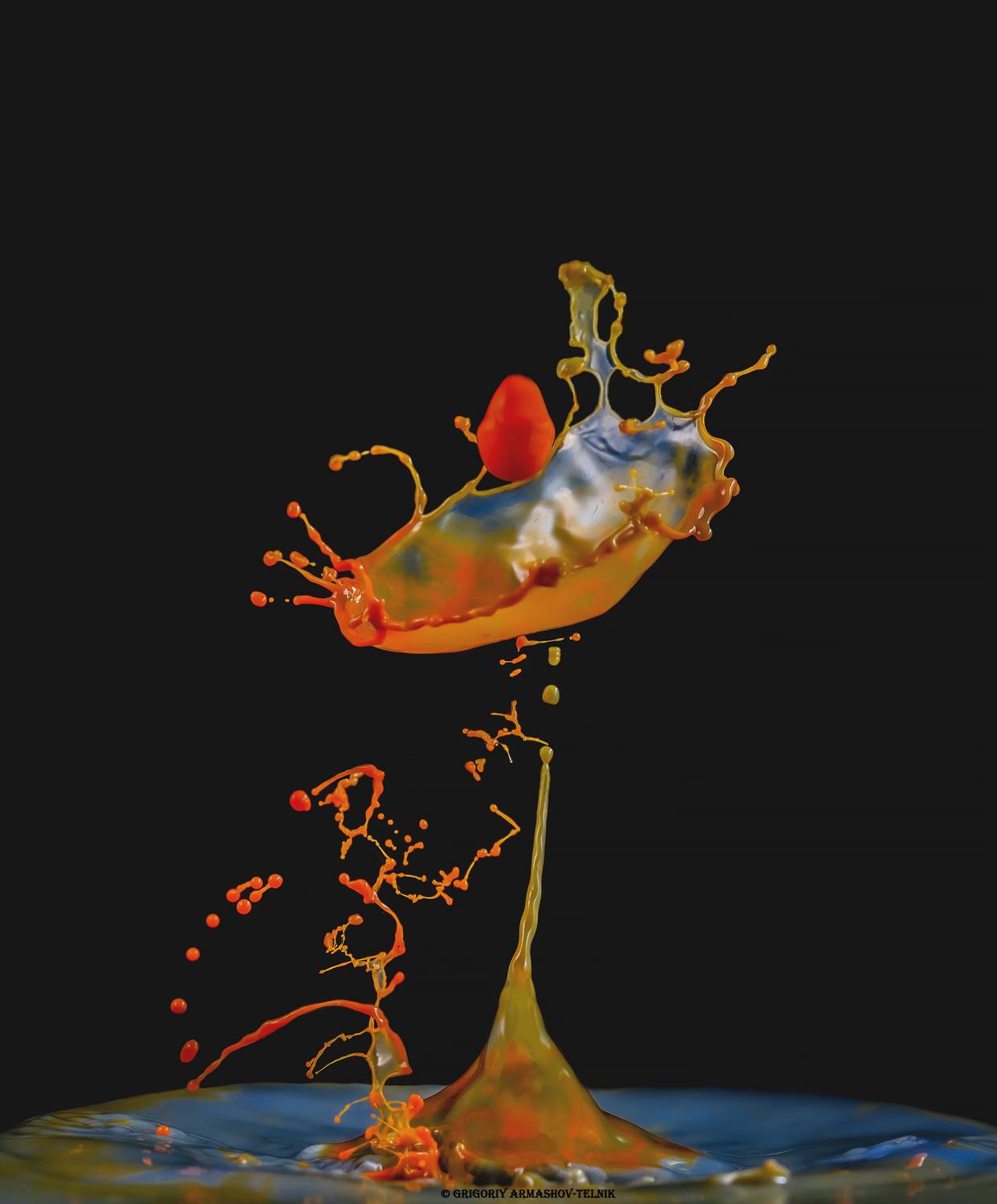 Macro, drops, liquid, water, colour, macrophoto, , Армашов-Тельник Григорий