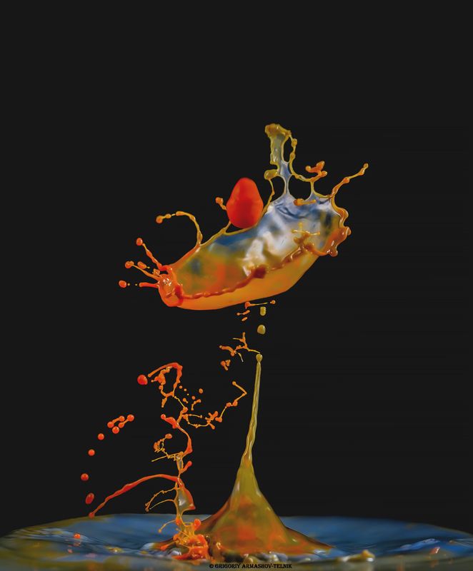 Macro, drops, liquid, water, colour, macrophoto,  Drops фото превью