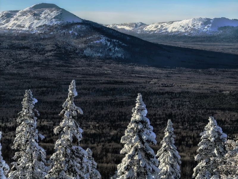 фото превью