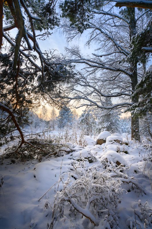 *** фото превью