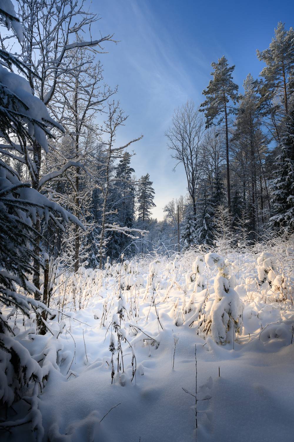 , Лутовкин Артём