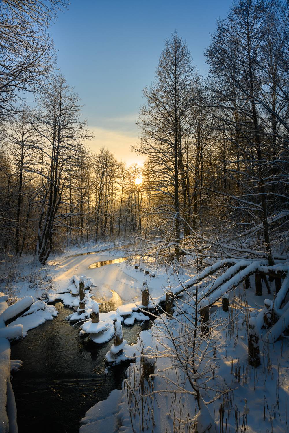, Лутовкин Артём