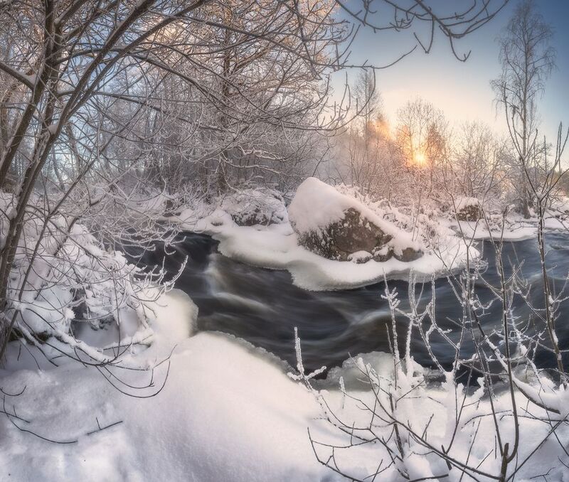 зима, ленобласть, лес, река *** фото превью