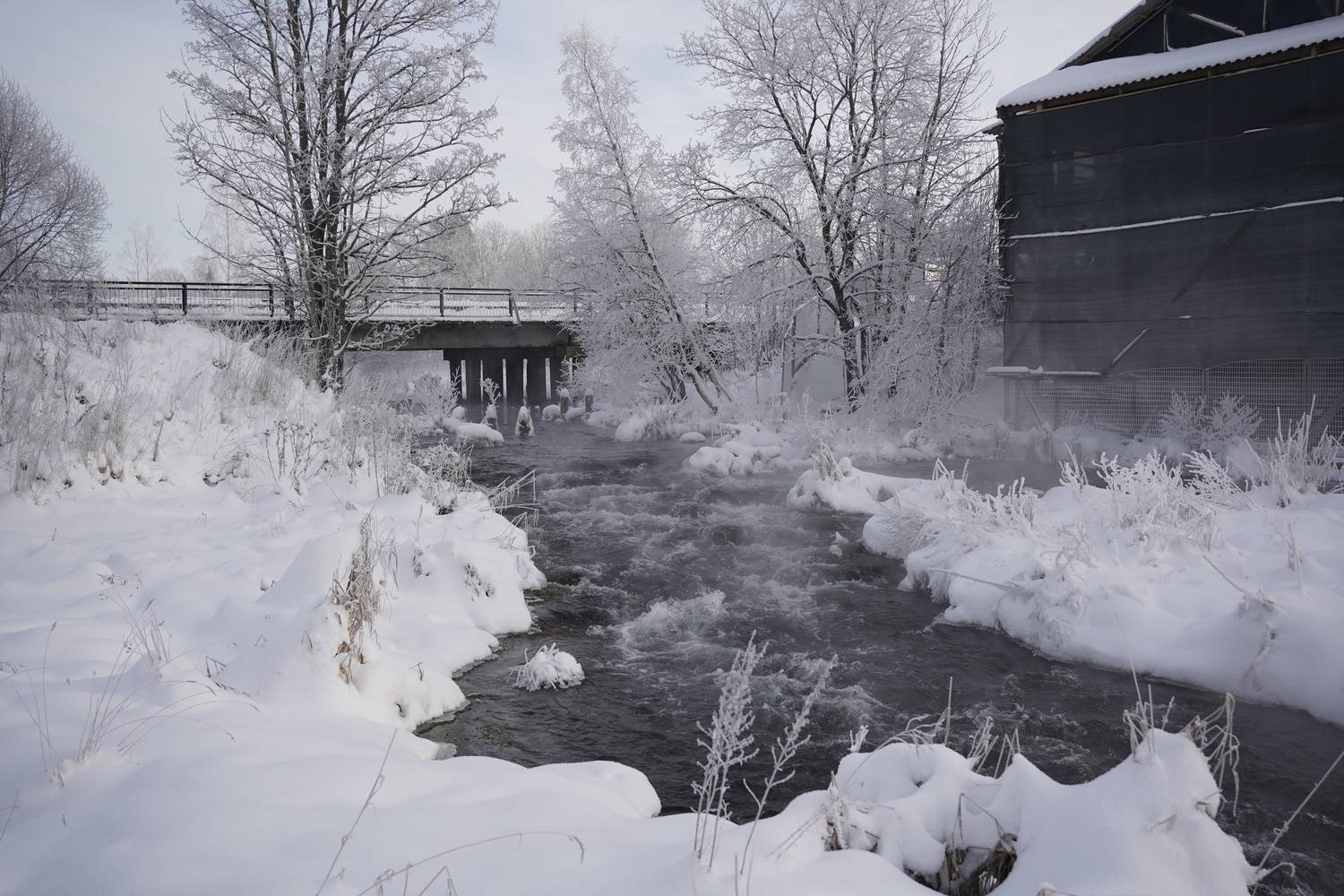 , Алёна Таланова