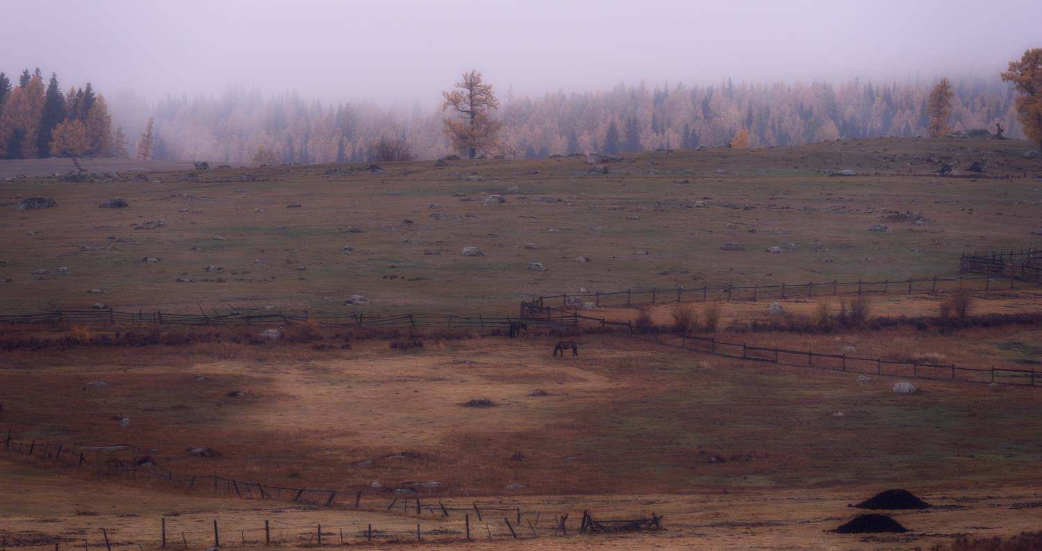 осень село лошадь туман лес, Татьяна Юганова