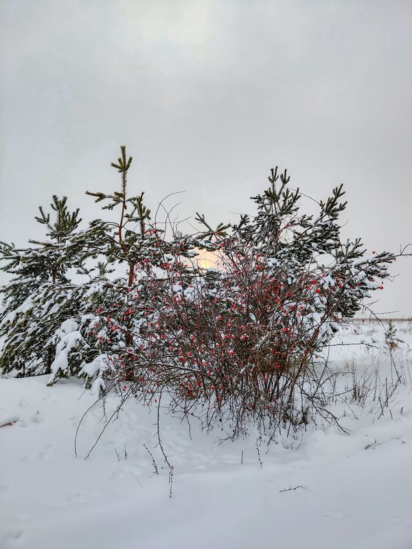 фото превью