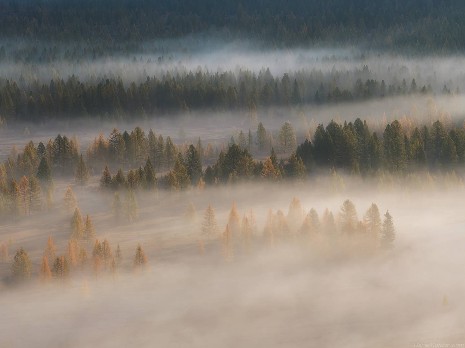 , Даниил Коржонов