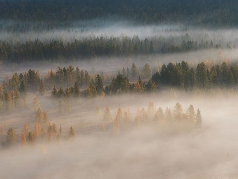 Mongolia Tsaatan фото превью