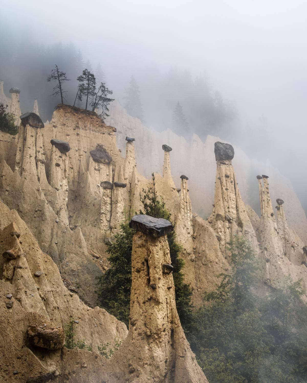 , Вукотић Никола