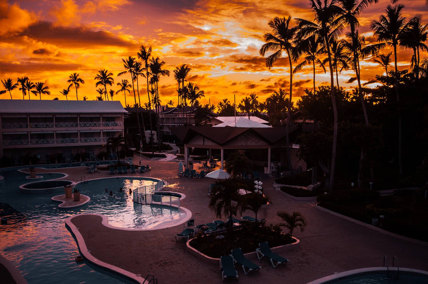 , Трепольский Дмитрий