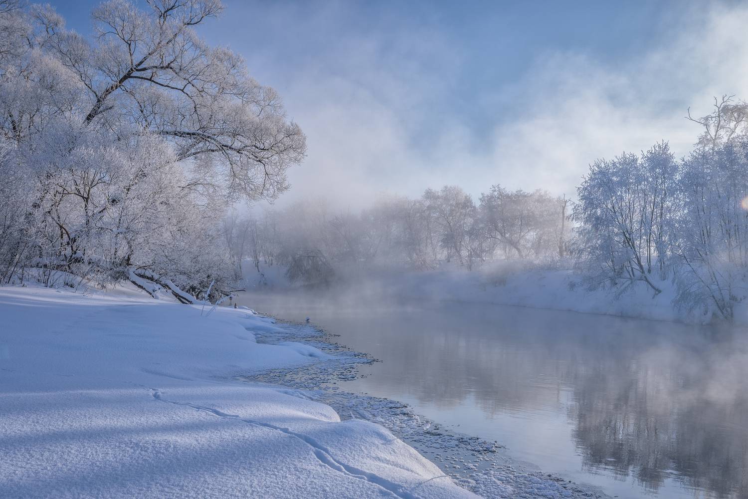 Истра, Гусева Елена