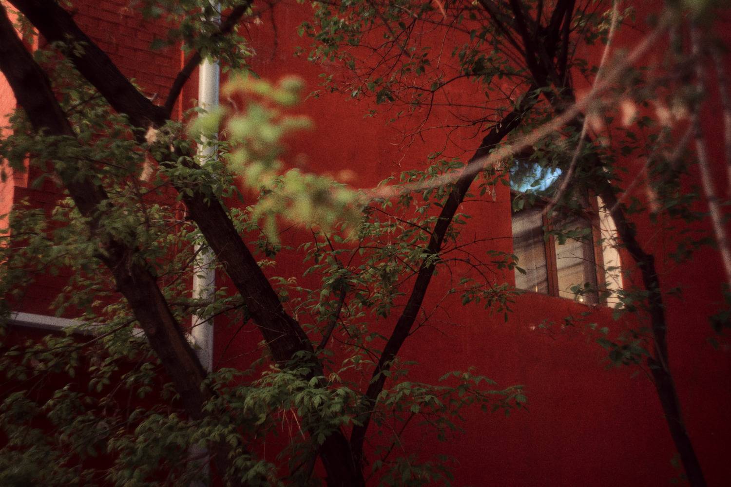 street, street photography, streetphotography, russia, moscow, vintage lenses, Жуков Кирилл