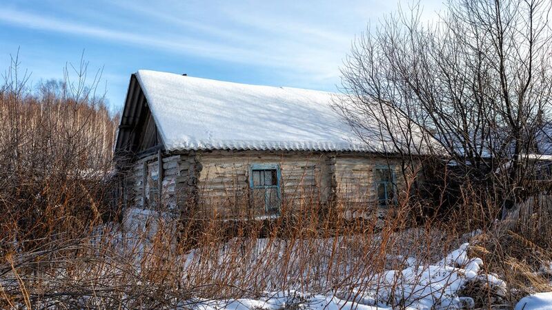 Забытое фото превью