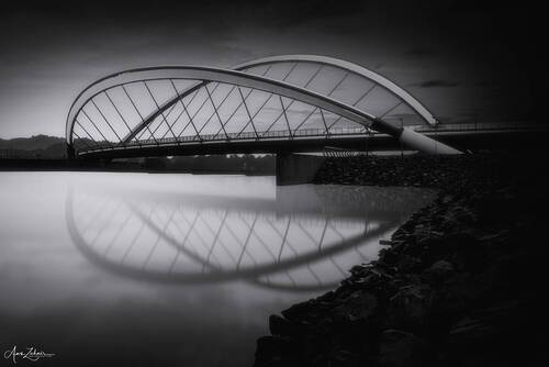 The Butterfly Bridge