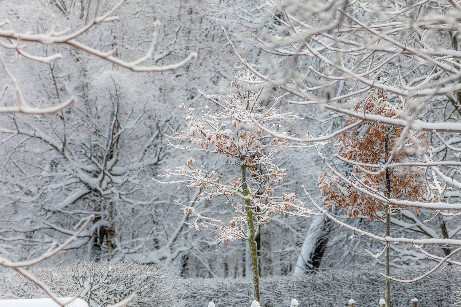 , Aleksandr Mihailov