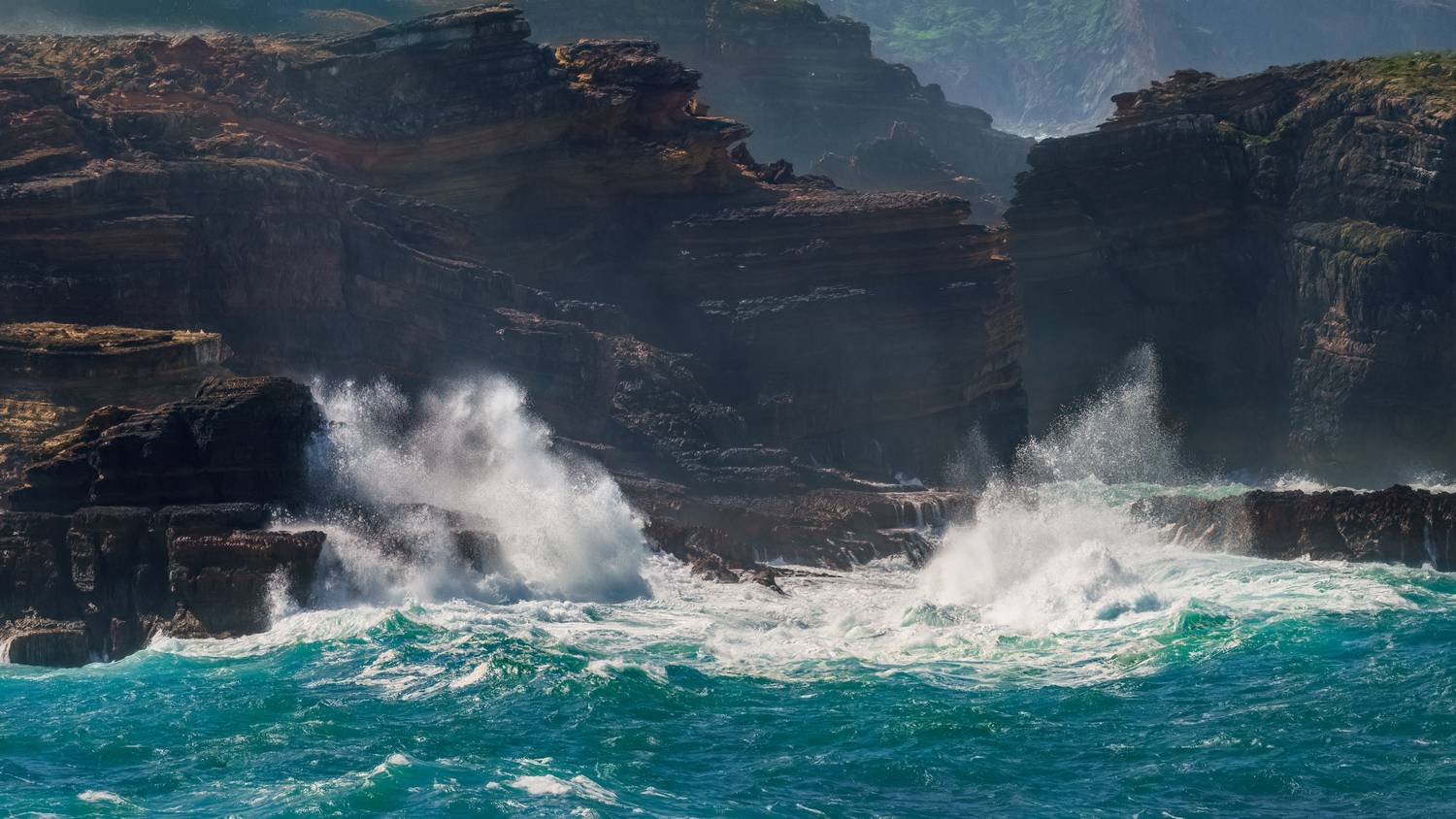 , Евгений Шварцман