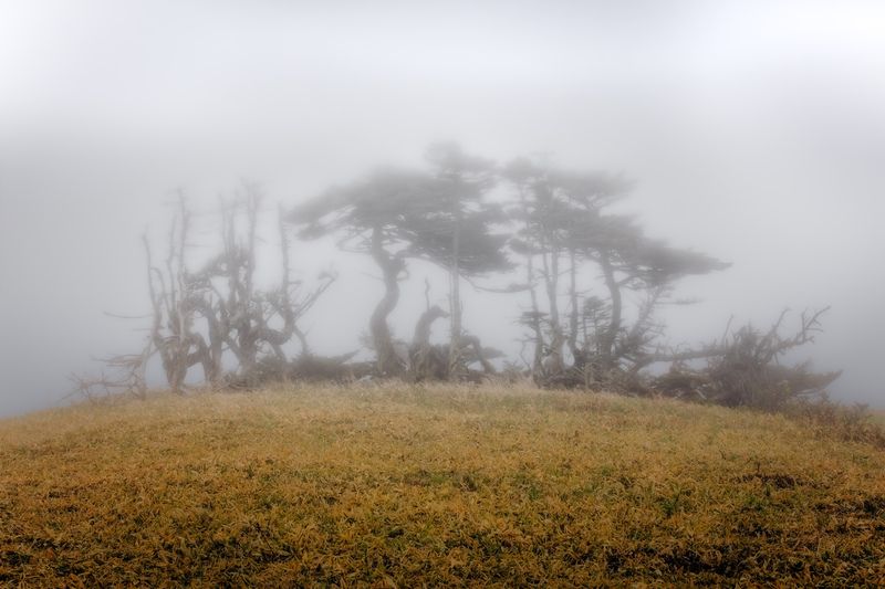 Туманы острова Шикотан фото превью