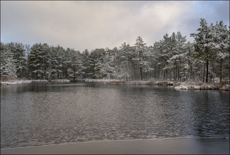Первый снег на торфяниках (продолжение 1) фото превью