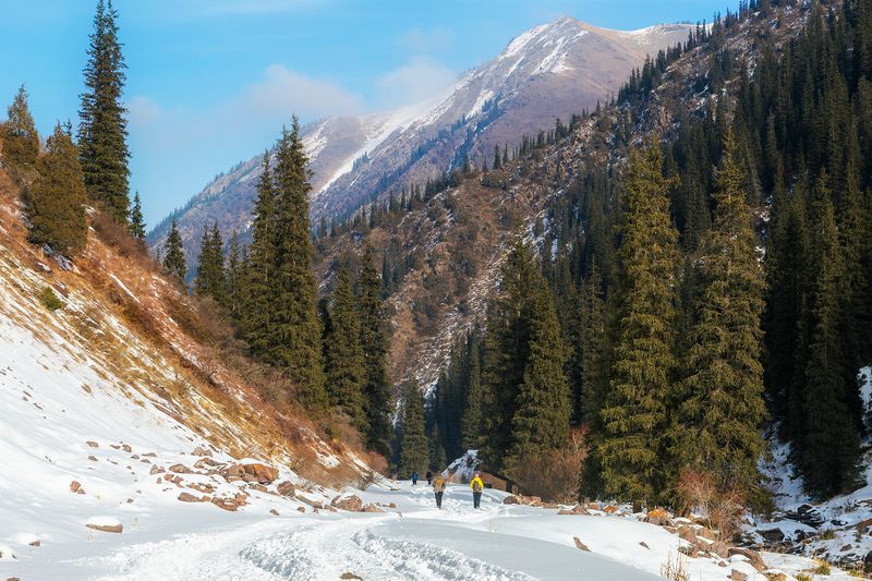 кыргызстан, ущелье кегеты Январь в ущелье Кегеты фото превью