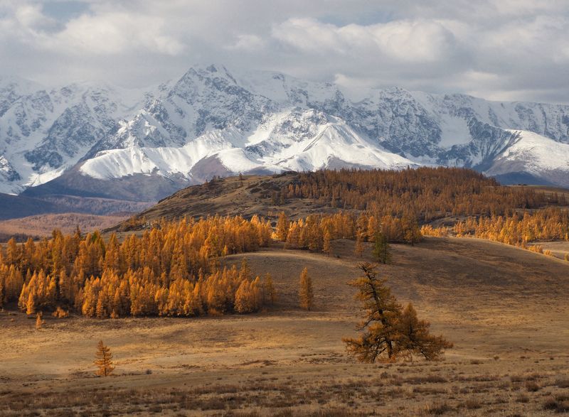 алтай, горный алтай, курай, северо-чуйский хребет, курай, республика алтай, горы, осень Курайская классика фото превью