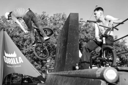 Живи или смотри