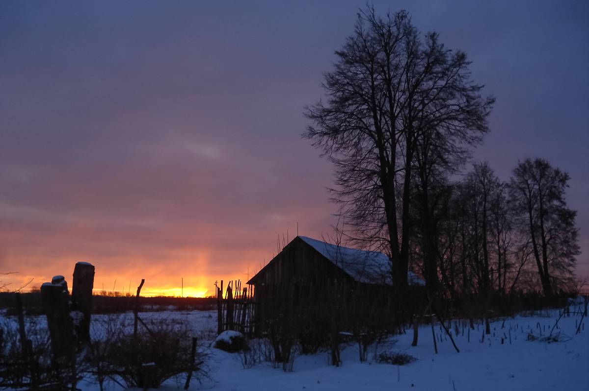 сочельник, рождество христово, навечерие, Колеснева Елена