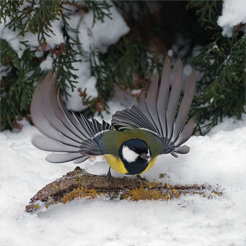 Взлет фото превью