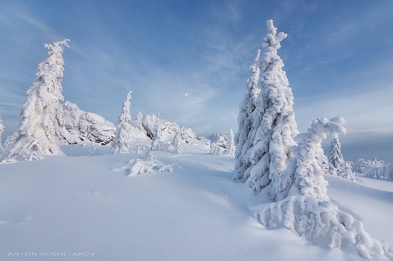 Пермский край, декабрь 2025г фото превью