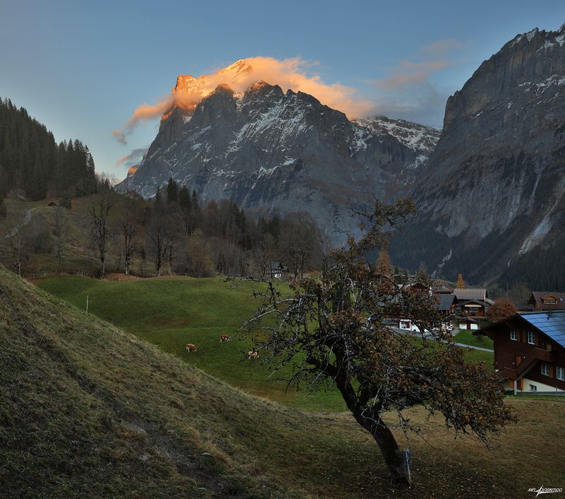 swiss Вечер... фото превью