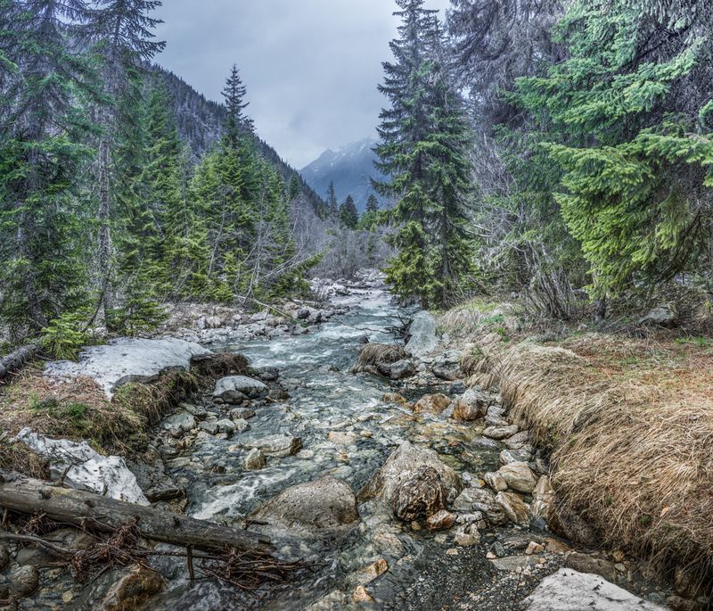 Тебердинский заповедник.Река Гоначхир. фото превью
